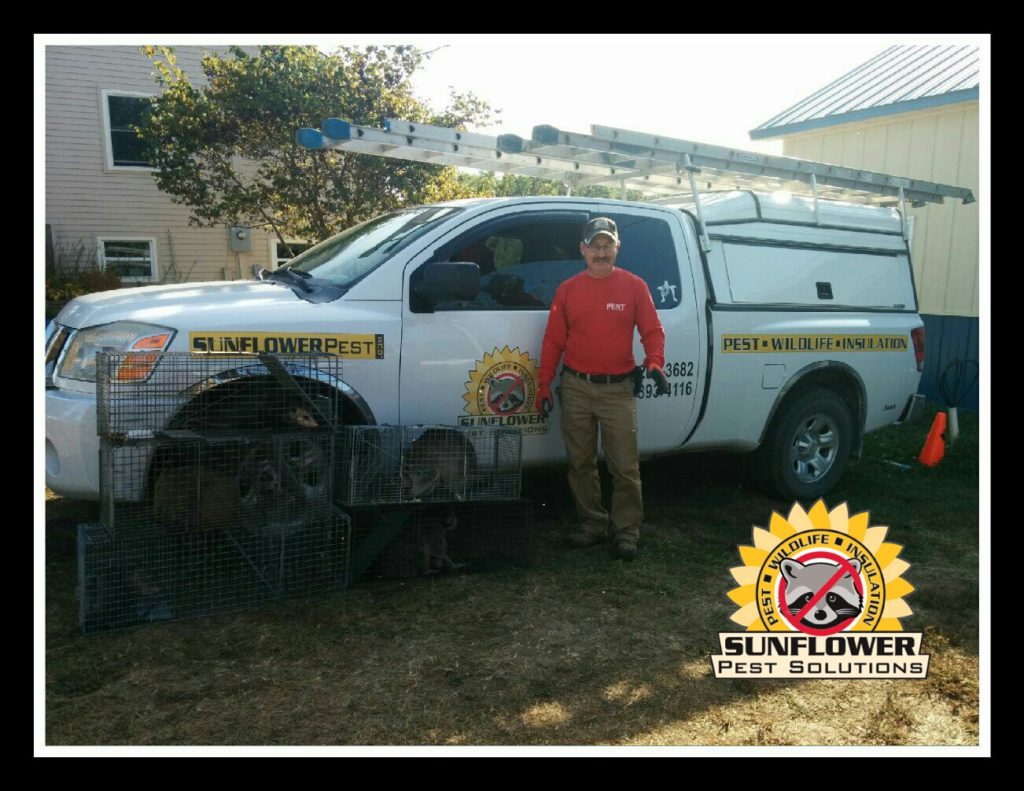 Exterminator Olathe Ks